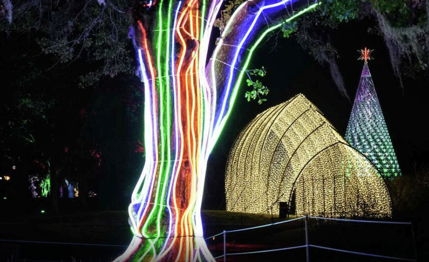 Immersive Houston Botanic Garden light show opens for winter Houston