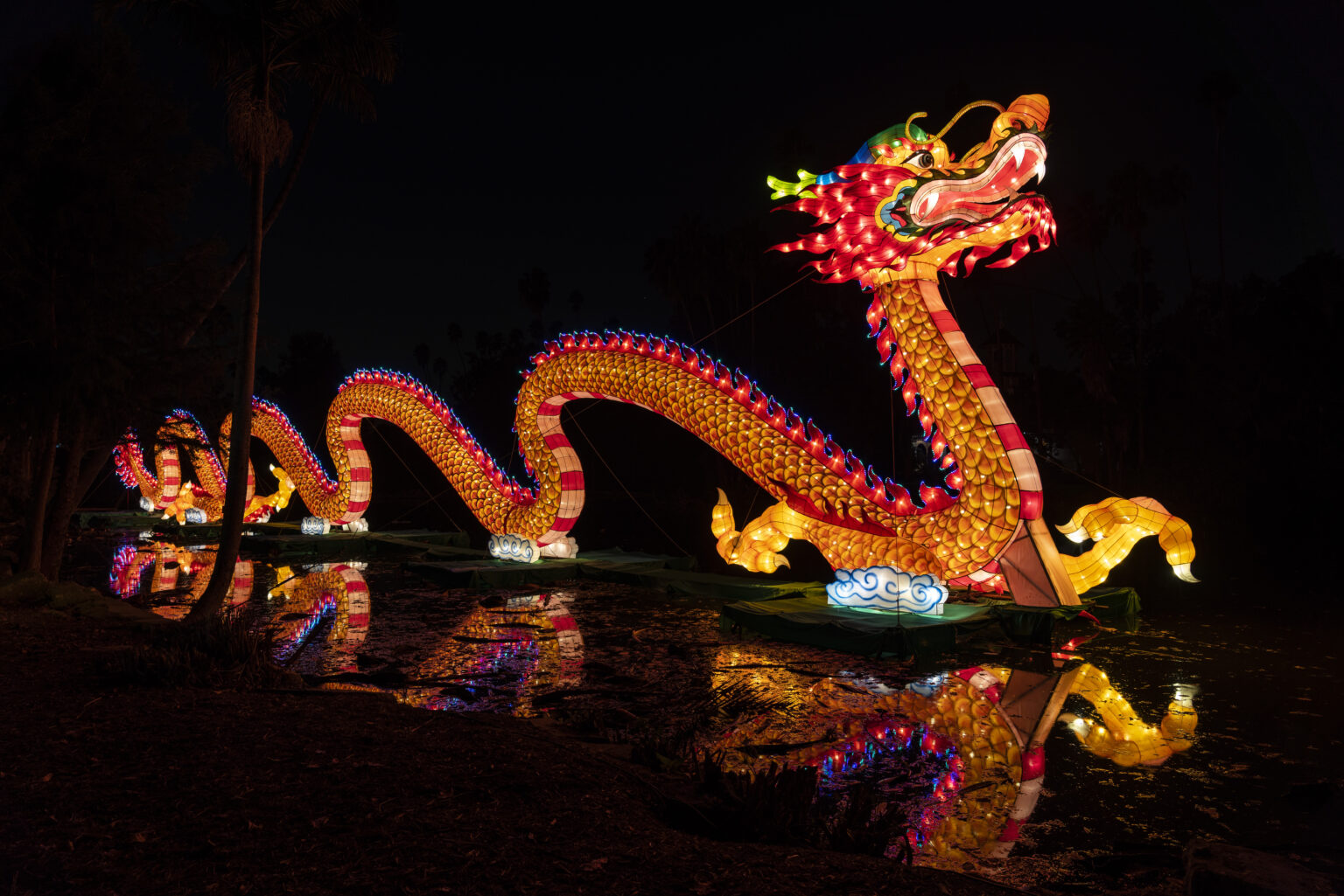 Chinese Dragon_Courtesy of Los Angeles Arboretum