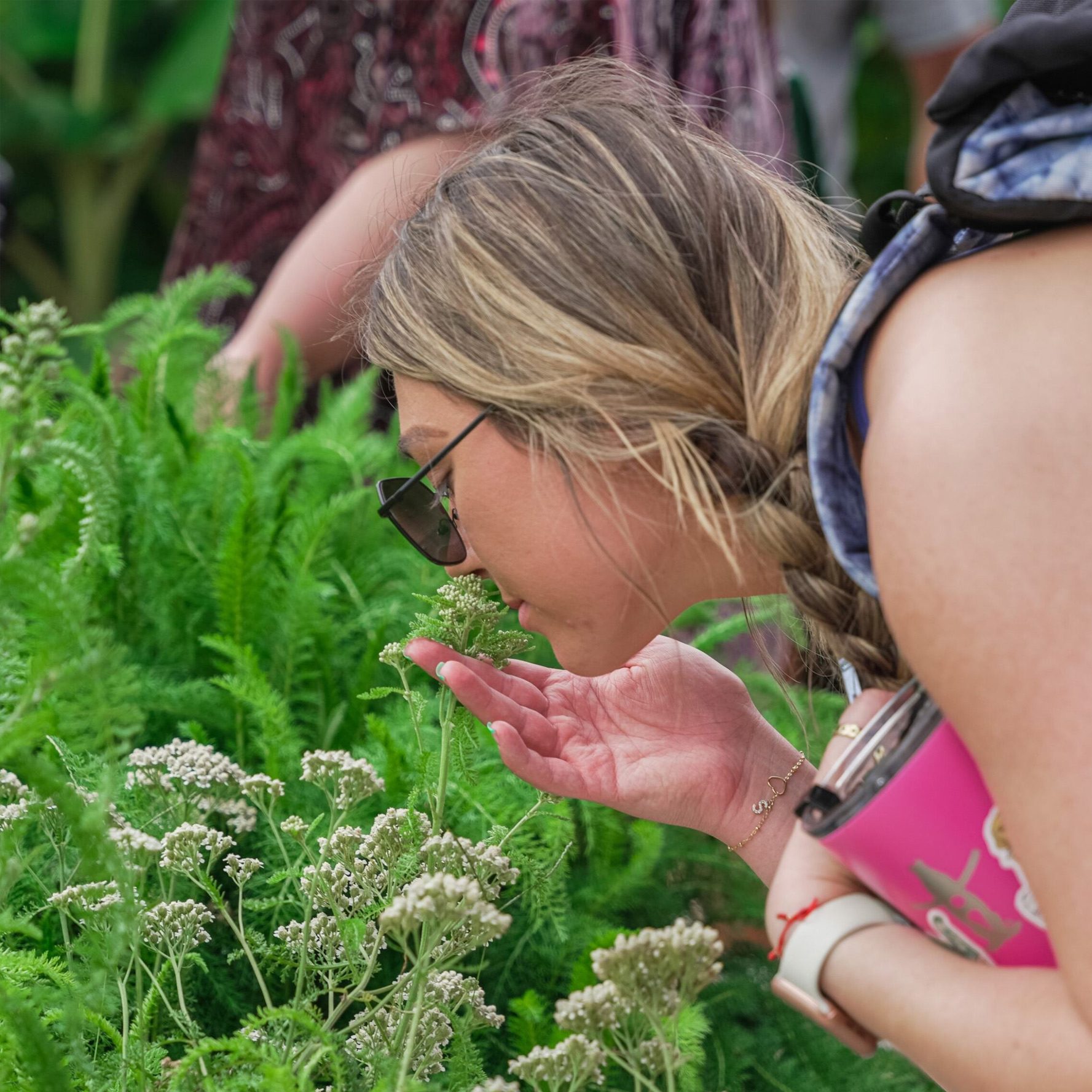 Medicinal Herbs of Latin America Houston Botanic Garden