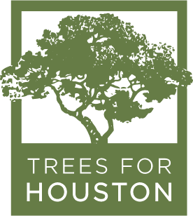 Trees for Houston