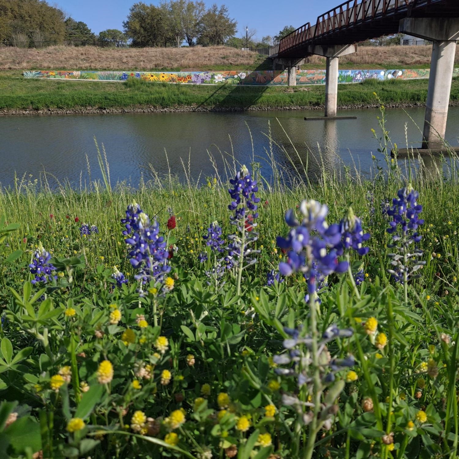 "Wild Texas" Unveiling - Houston Botanic Garden