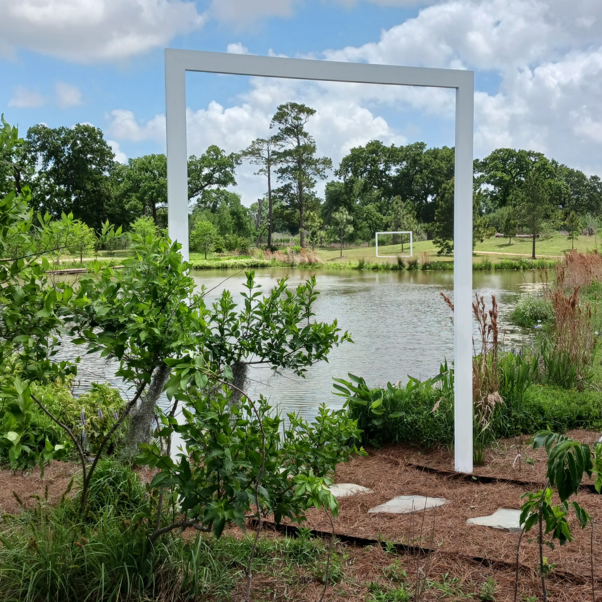 ViewPoints: Nature in Focus | Houston Botanic Garden