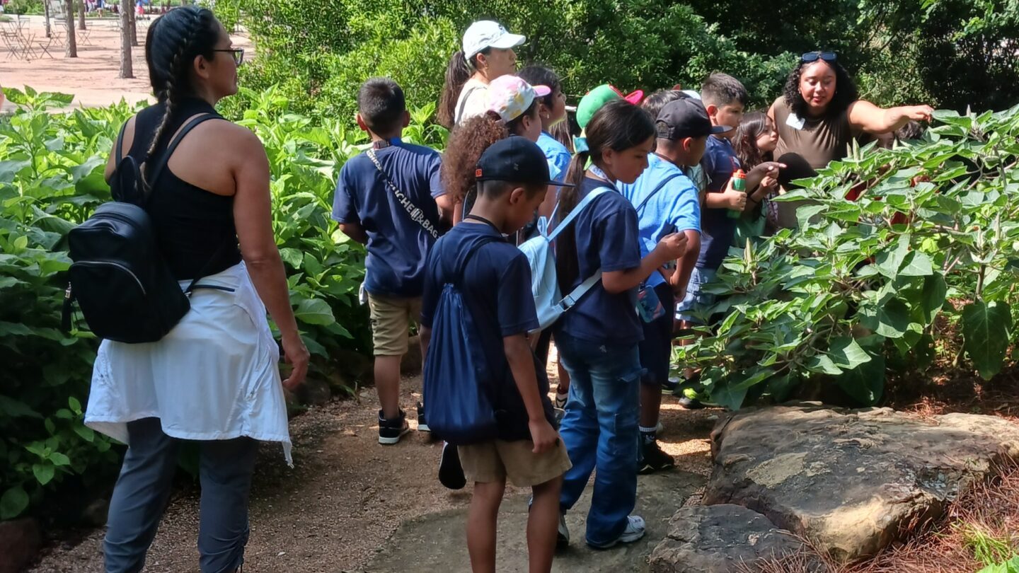 Cyerra with field trip in Upland Forest_5.4